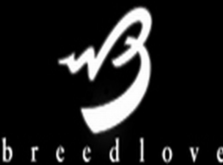 Voice Series Introduced by Breedlove