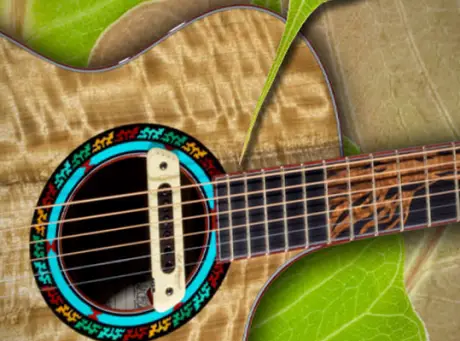 Breedlove Unveils Bodhisattva Guitar