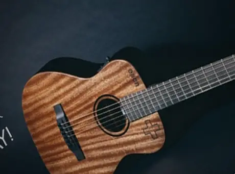 Ed Sheeran LX1E Signature and Summer NAMM 2013 Updates