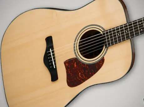 NAMM 2014 Ibanez Acoustics