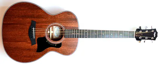 Taylor 320