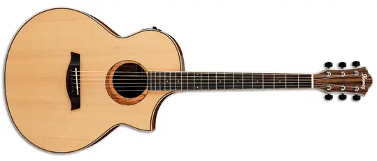 Ibanez AEW21VK