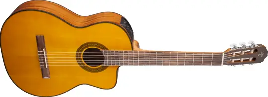 Takamine GC1CE-NAT