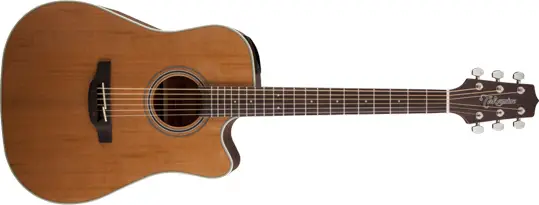 Takamine GD20CE Natural