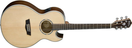 Washburn EA20SNB