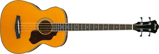 Ibanez SGBE110