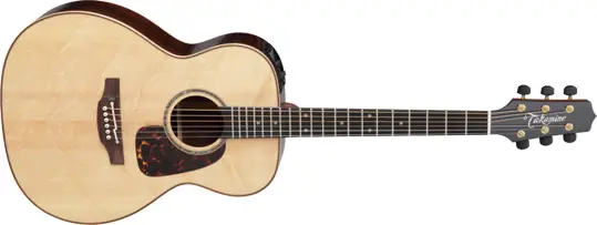 Takamine TLE-M1