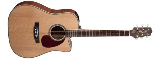 Takamine EG340DLX