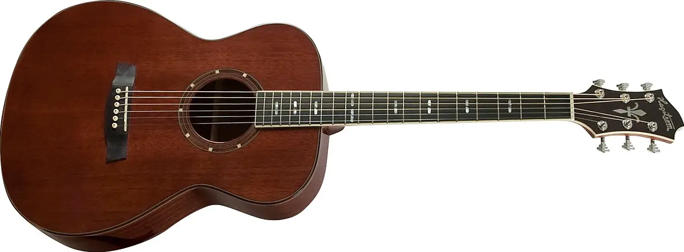 Mocon Concert by Hagstrom