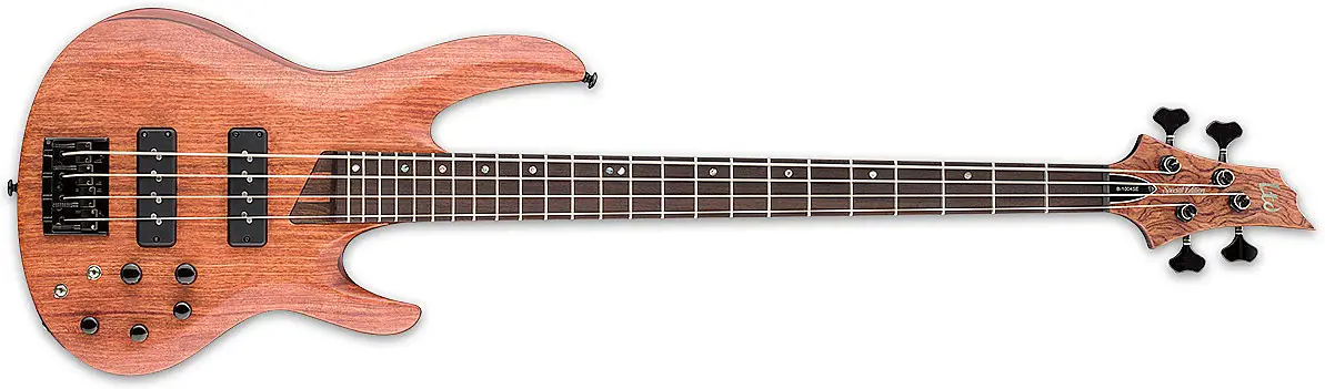 B-1004SE by ESP