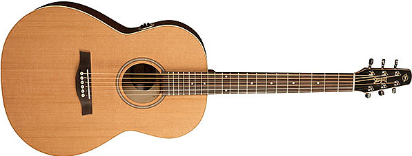 Coastline Cedar Folk QIT by Seagull Guitars