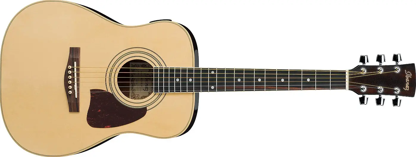 DT100 by Ibanez