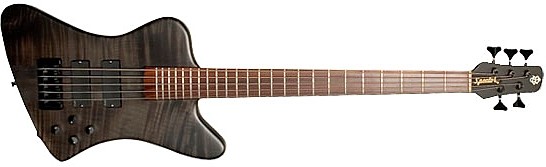 Forte 5X by Spector