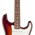 Standard Stratocaster Plus Top