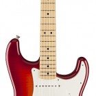 Fender Standard Stratocaster Plus Top with Locking Tremolo