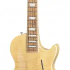 Dave Amato Les Paul Axcess