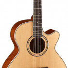 Parkwood Guitars S67
