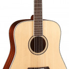 Parkwood Guitars S41