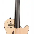 Godin A5 Bass Ultra Natural SG Fretless EN SA